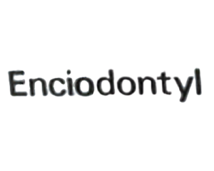 enciodontyl-removebg-preview